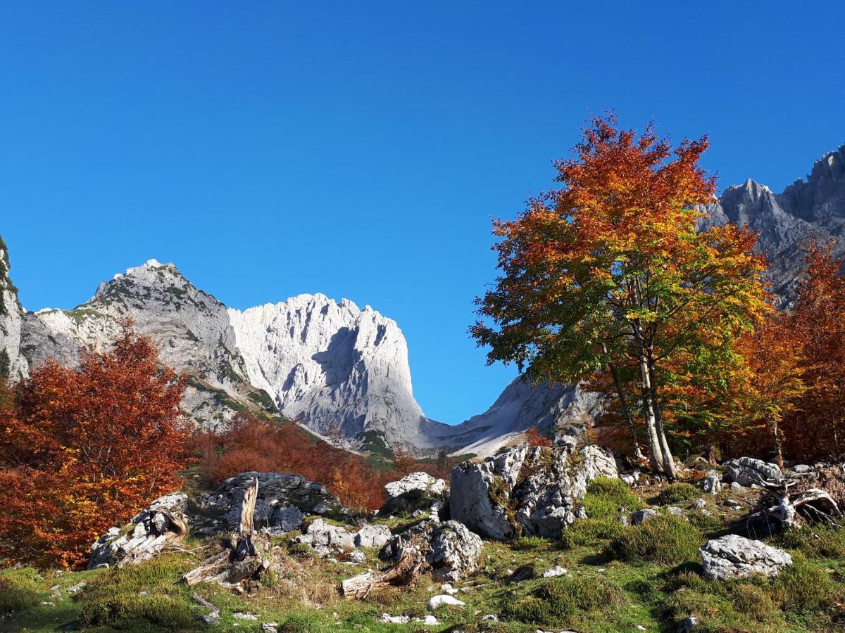 Haus Strobler Apartment Going am Wilden Kaiser Bagian luar foto